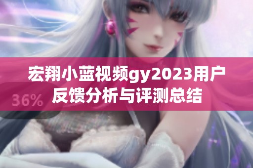 宏翔小蓝视频gy2023用户反馈分析与评测总结