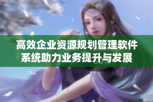 高效企业资源规划管理软件系统助力业务提升与发展