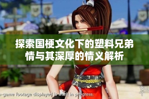 探索国梗文化下的塑料兄弟情与其深厚的情义解析