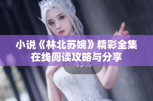 小说《林北苏婉》精彩全集在线阅读攻略与分享