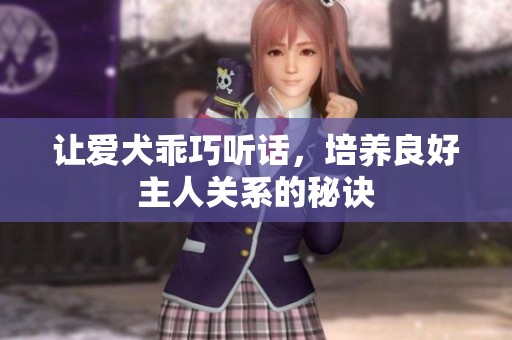 让爱犬乖巧听话，培养良好主人关系的秘诀