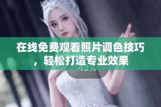 在线免费观看照片调色技巧，轻松打造专业效果