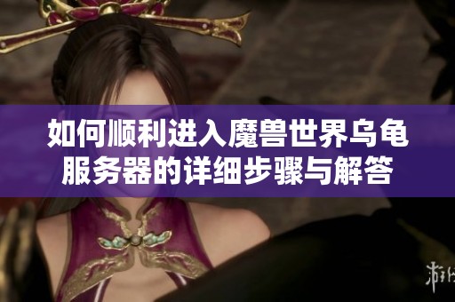如何顺利进入魔兽世界乌龟服务器的详细步骤与解答