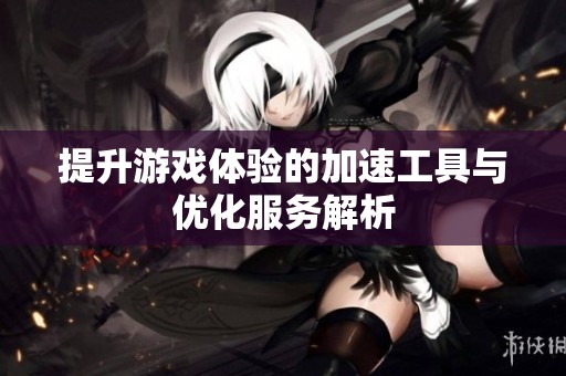 提升游戏体验的加速工具与优化服务解析