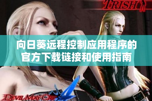 向日葵远程控制应用程序的官方下载链接和使用指南