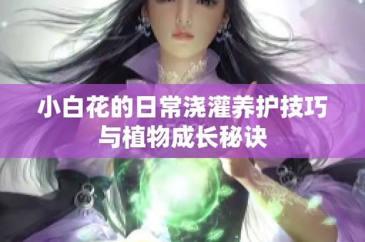 小白花的日常浇灌养护技巧与植物成长秘诀