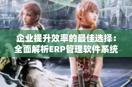 企业提升效率的最佳选择：全面解析ERP管理软件系统