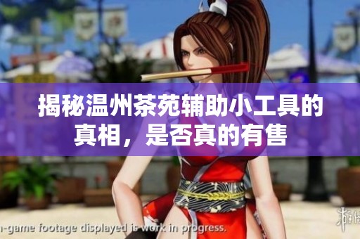 揭秘温州茶苑辅助小工具的真相，是否真的有售