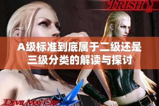 A级标准到底属于二级还是三级分类的解读与探讨