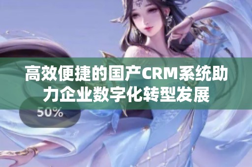 高效便捷的国产CRM系统助力企业数字化转型发展