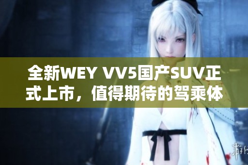 全新WEY VV5国产SUV正式上市，值得期待的驾乘体验