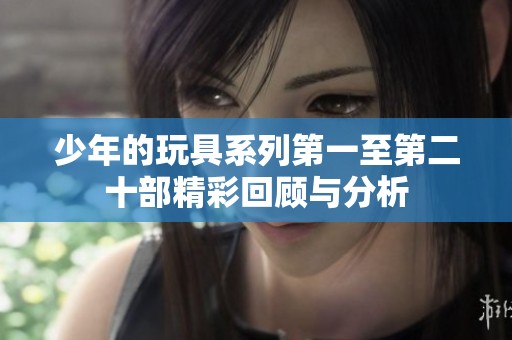 少年的玩具系列第一至第二十部精彩回顾与分析