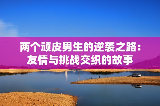 两个顽皮男生的逆袭之路：友情与挑战交织的故事