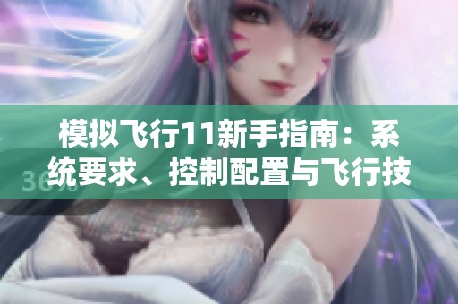 模拟飞行11新手指南：系统要求、控制配置与飞行技巧解析