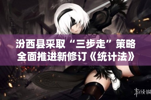 汾西县采取“三步走”策略全面推进新修订《统计法》的学习和宣传