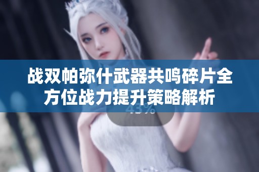 战双帕弥什武器共鸣碎片全方位战力提升策略解析