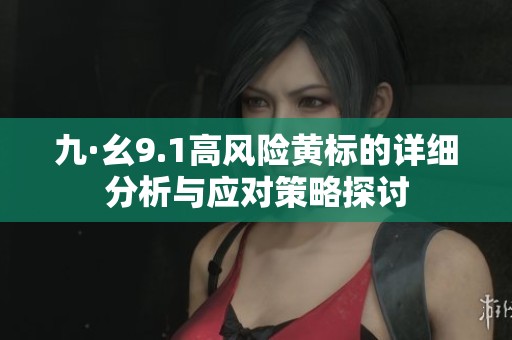 九·幺9.1高风险黄标的详细分析与应对策略探讨