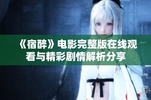 《宿醉》电影完整版在线观看与精彩剧情解析分享