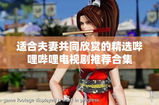 适合夫妻共同欣赏的精选哔哩哔哩电视剧推荐合集