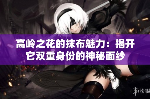 高岭之花的抹布魅力：揭开它双重身份的神秘面纱