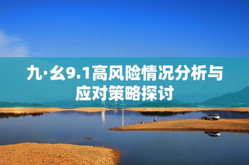 九·幺9.1高风险情况分析与应对策略探讨