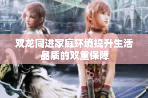 双龙同进家庭环境提升生活品质的双重保障