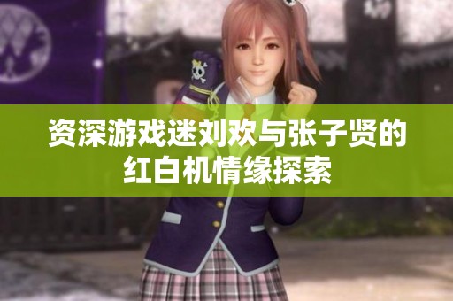 资深游戏迷刘欢与张子贤的红白机情缘探索