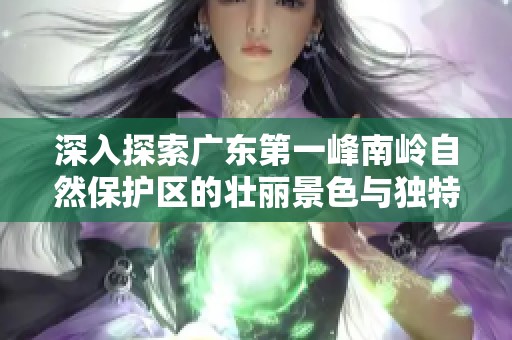 深入探索广东第一峰南岭自然保护区的壮丽景色与独特魅力