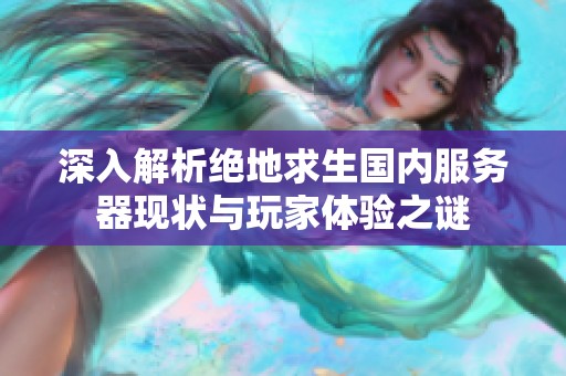 深入解析绝地求生国内服务器现状与玩家体验之谜