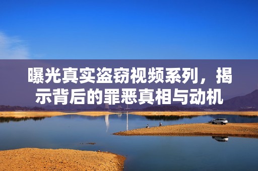 曝光真实盗窃视频系列，揭示背后的罪恶真相与动机