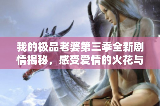 我的极品老婆第三季全新剧情揭秘，感受爱情的火花与冲突