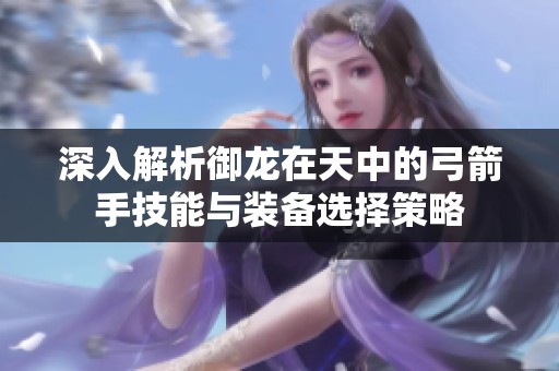 深入解析御龙在天中的弓箭手技能与装备选择策略