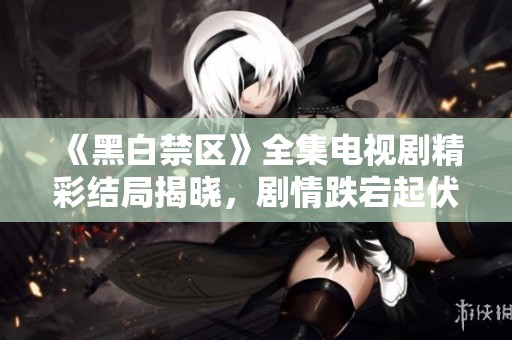《黑白禁区》全集电视剧精彩结局揭晓，剧情跌宕起伏引人深思
