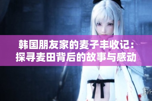 韩国朋友家的麦子丰收记：探寻麦田背后的故事与感动