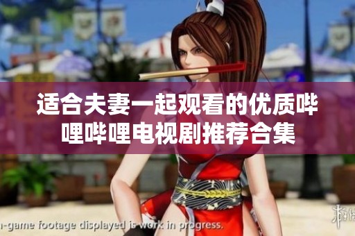 适合夫妻一起观看的优质哔哩哔哩电视剧推荐合集