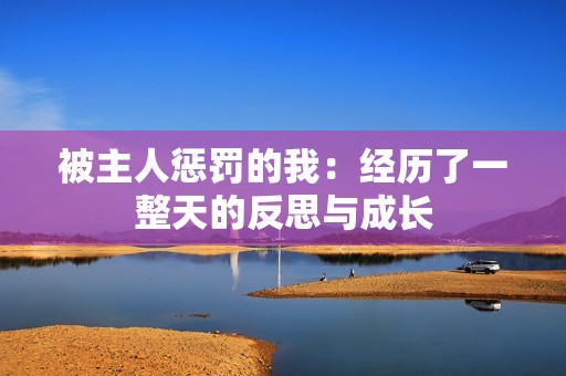 被主人惩罚的我：经历了一整天的反思与成长