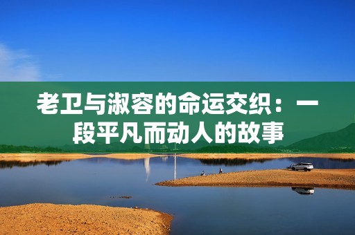 老卫与淑容的命运交织：一段平凡而动人的故事