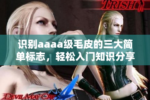 识别aaaa级毛皮的三大简单标志，轻松入门知识分享