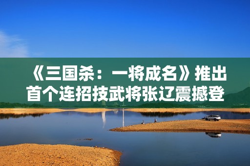《三国杀：一将成名》推出首个连招技武将张辽震撼登场！