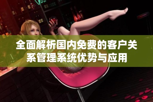 全面解析国内免费的客户关系管理系统优势与应用