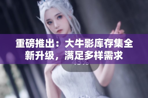 重磅推出：大牛影库存集全新升级，满足多样需求