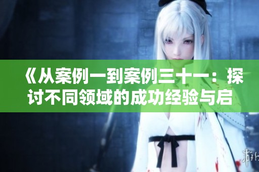 《从案例一到案例三十一：探讨不同领域的成功经验与启示》