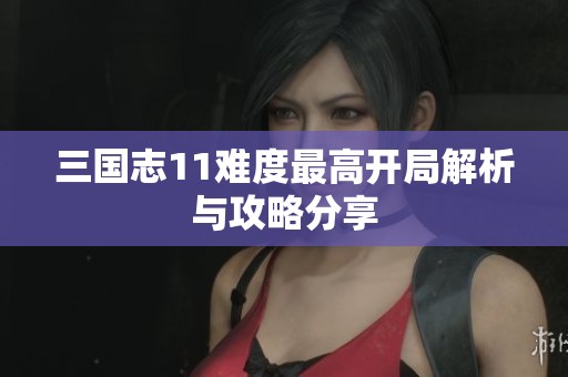 三国志11难度最高开局解析与攻略分享