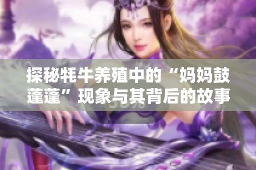 探秘牦牛养殖中的“妈妈鼓蓬蓬”现象与其背后的故事