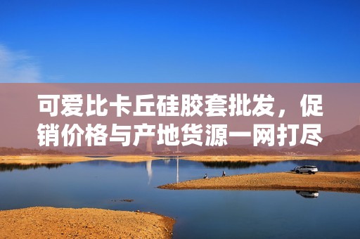可爱比卡丘硅胶套批发，促销价格与产地货源一网打尽