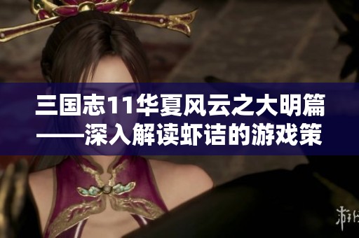 三国志11华夏风云之大明篇——深入解读虾诘的游戏策略与心得