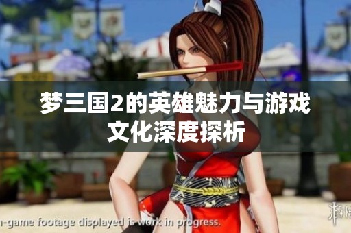 梦三国2的英雄魅力与游戏文化深度探析