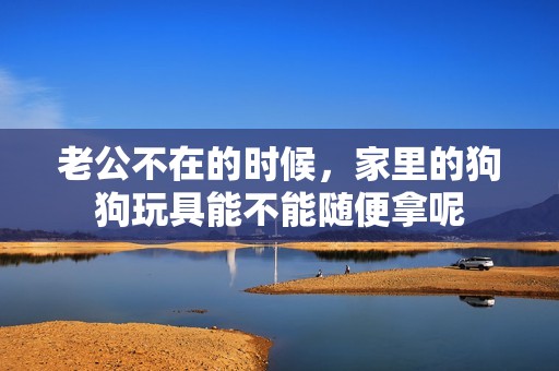 老公不在的时候，家里的狗狗玩具能不能随便拿呢