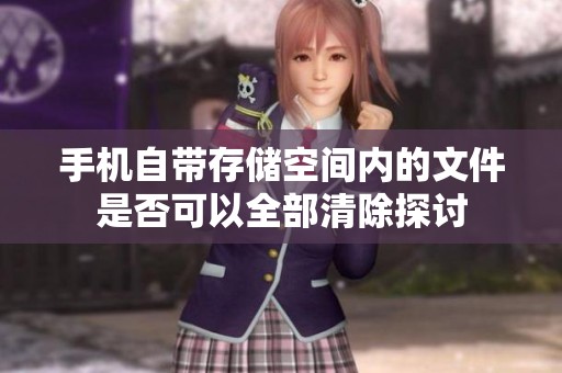 手机自带存储空间内的文件是否可以全部清除探讨