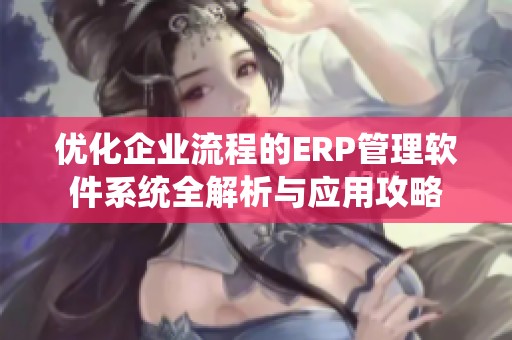优化企业流程的ERP管理软件系统全解析与应用攻略